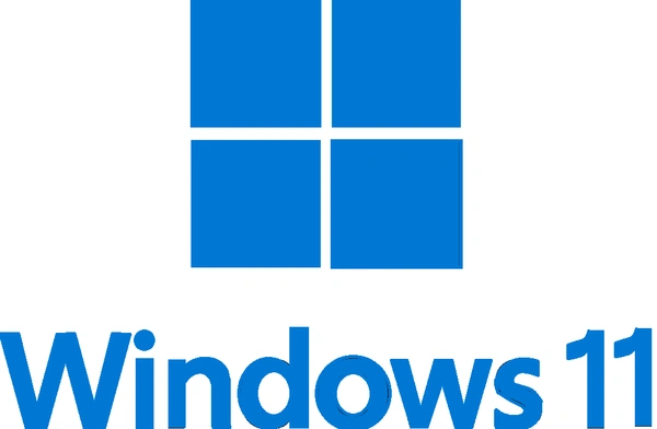 WINDOWS 11 PROFESSIONAL 32 BIT 64 BIT