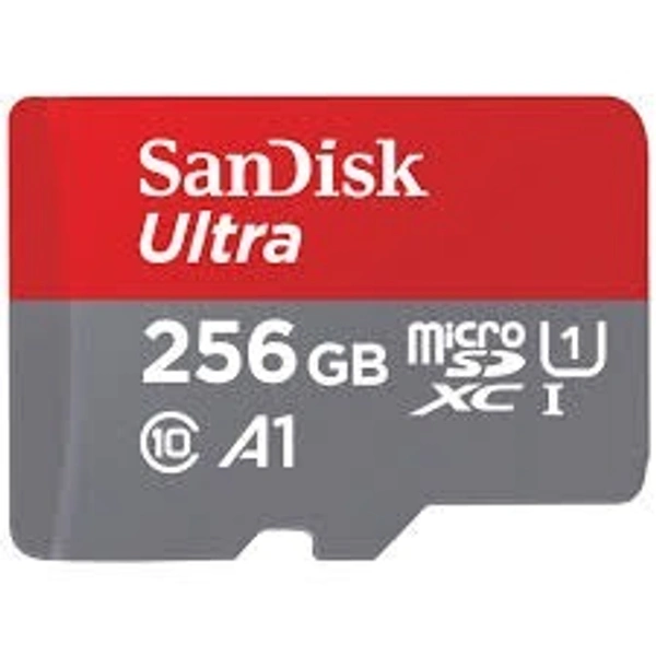 SANDISK 256 GB MEMORY CARD
