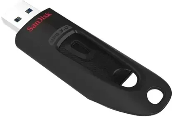 sandisk 3.0 256 gb pendrive