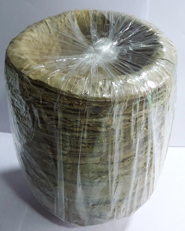 Thonnai kattu