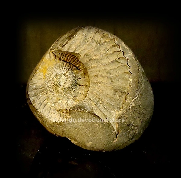 Original Saligramam