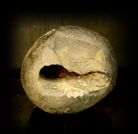 Original Saligramam