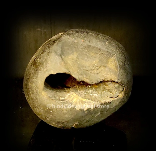 Original Saligramam