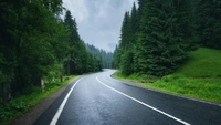 ROAD MARKING  - Yellow