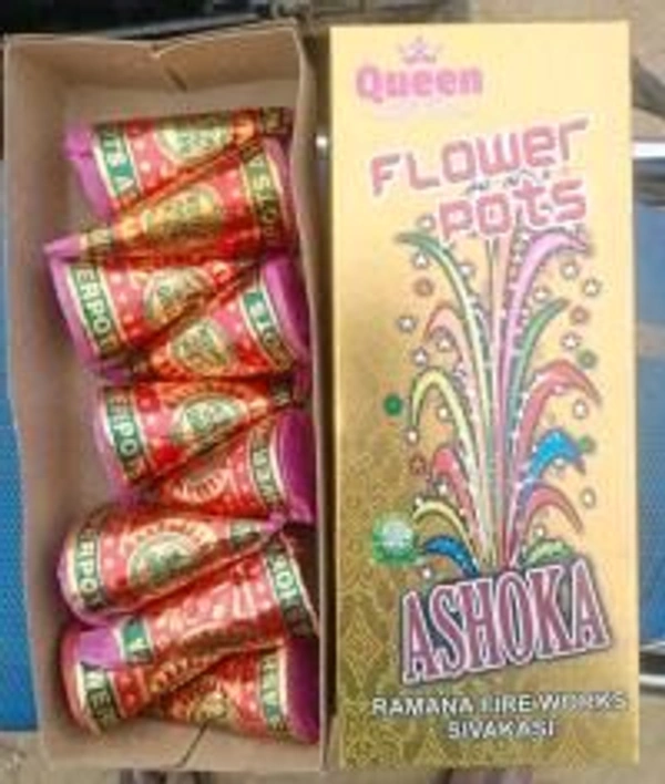 FlowerPot Ashoka