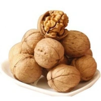 Walnut Inshell (500gms) 