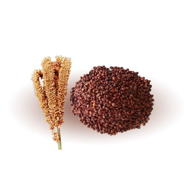 Ragi (500gms) 
