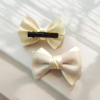 Cute Hair Clips Combo D-C10