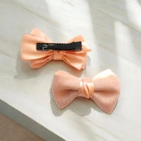 Cute Hair Clips Combo D-C12