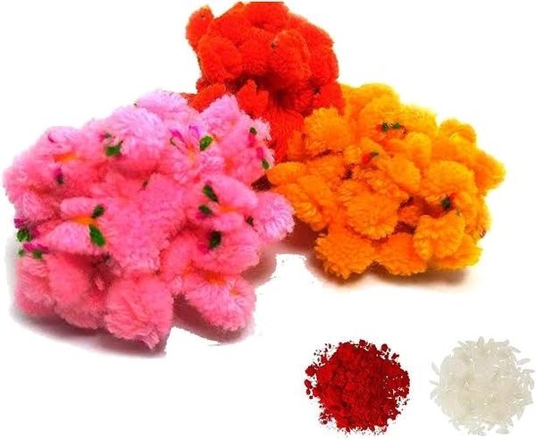 Ram Rakhi Set Of 10 With Roli Chawal, Pooja Rakhi Combo, Rakhi For God  - Dandelion
