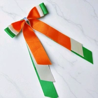 Set of 5 Tiranga Hair Bow Clips 