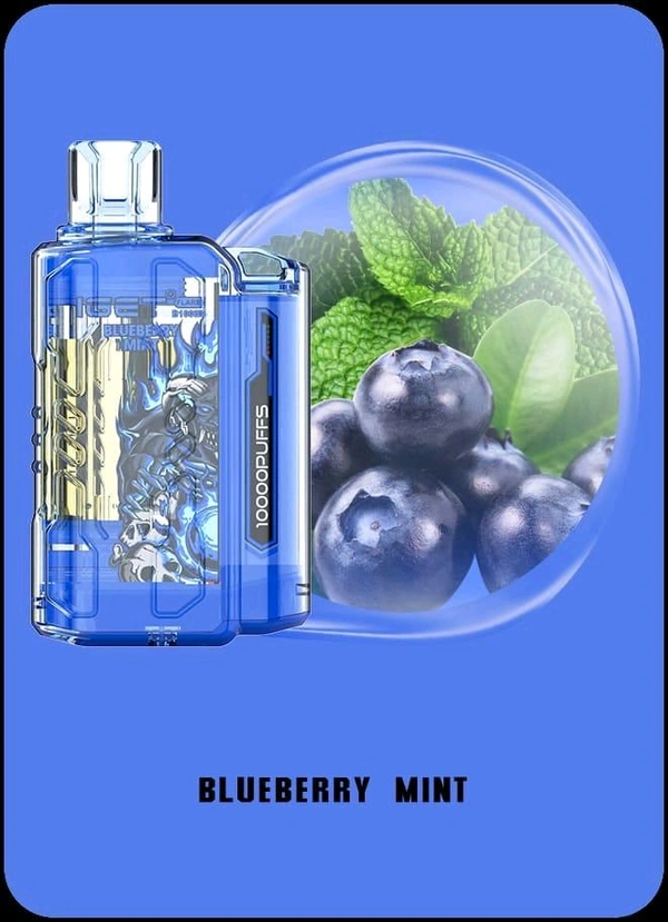 IGET FLARE 10000 PUFF | Blueberry Mint