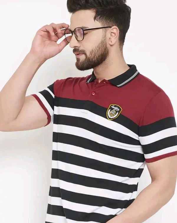 Austin Wood Men's Half Sleeves Polo Neck Striper T-shirt - L