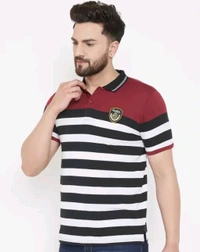 Austin Wood Men's Half Sleeves Polo Neck Striper T-shirt - L
