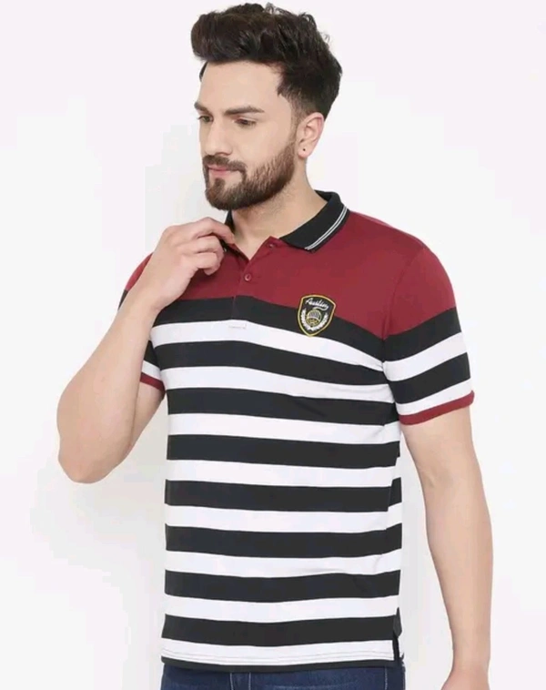 Austin Wood Men's Half Sleeves Polo Neck Striper T-shirt - L