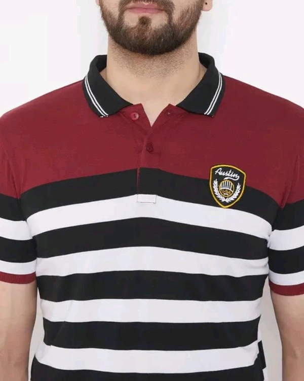 Austin Wood Men's Half Sleeves Polo Neck Striper T-shirt - L