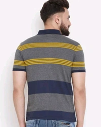Austin Wood Men's Half Sleeves Polo Neck Striper T-shirt - L