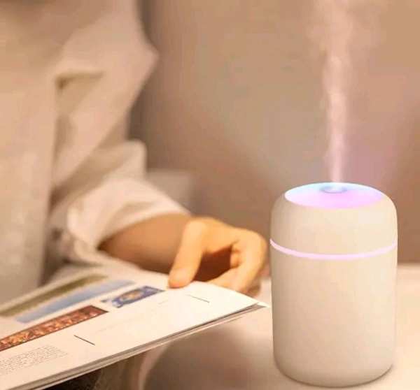 H2O Humidifier  