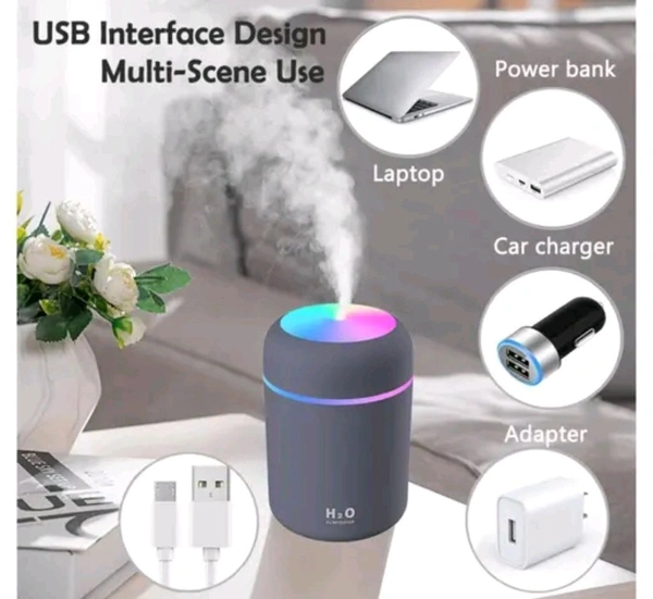 H2O Humidifier  