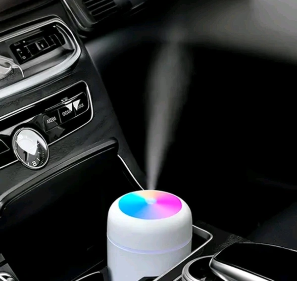 H2O Humidifier  