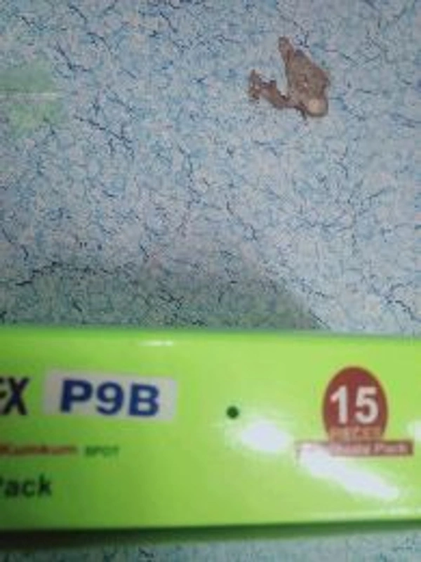 P9B Eyetex Bindi