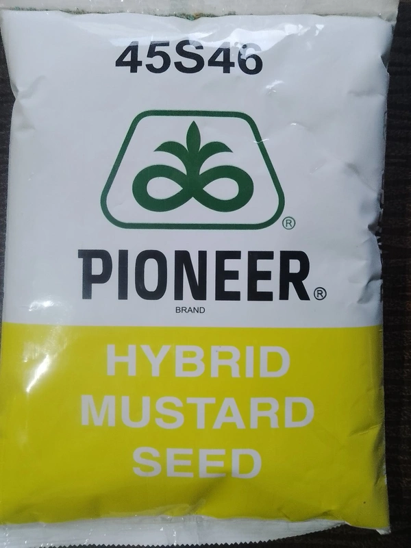  पायनियर Pioneer  सरसो 45s46 - 1kg