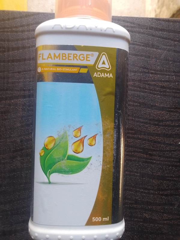 Adama  Flamberge - 500 Ml