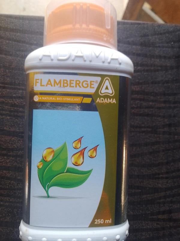 Adama Flamberge - 250ml