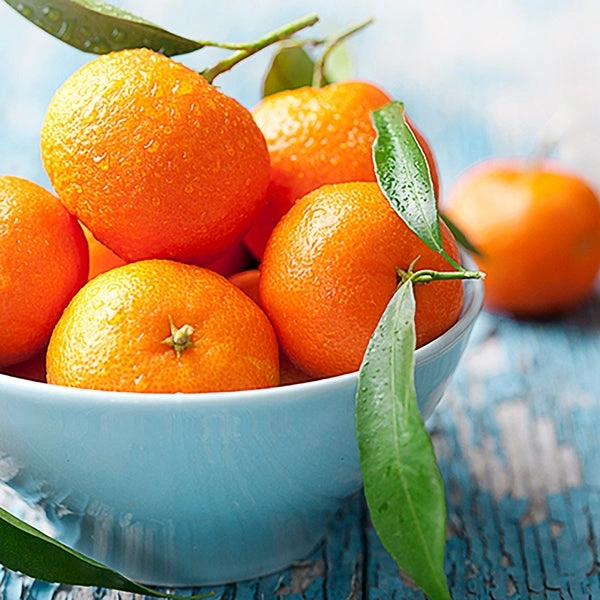 Mandarin orange (नारंगी) - 500gm