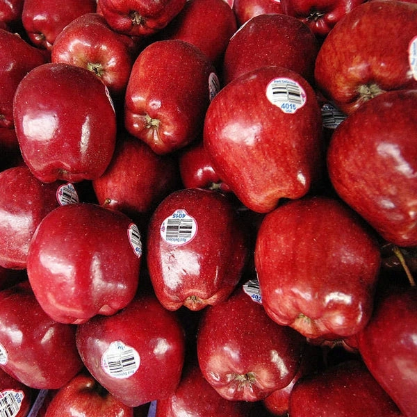 Red Delicious apple (RD apple) - 1Kg