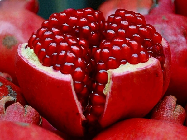 Anar Dana (अनार दाना) 40 gram pack
