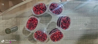 Anar Dana (अनार दाना) 40 gram pack - 1pcs