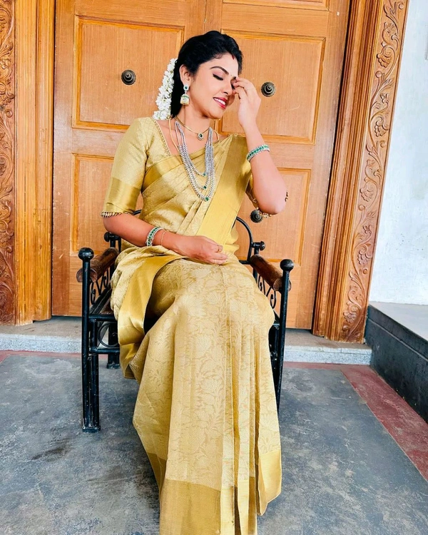 Nita Ambani's Style Kanchipuram Tissue Silk Saree 