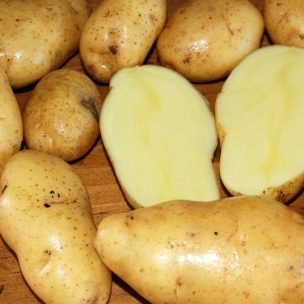 Alugadda/Potato-1Kg