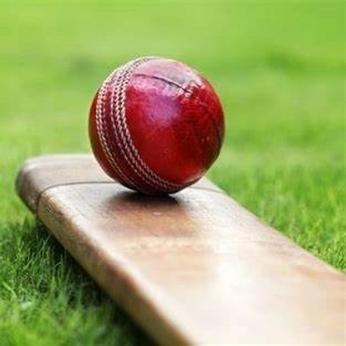 Cricket