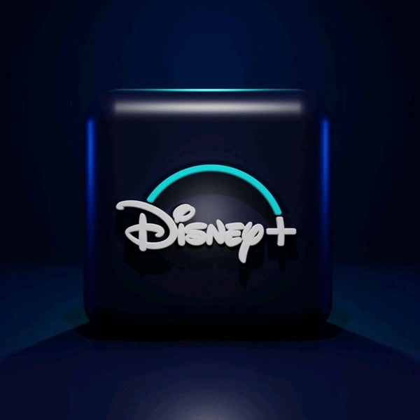 Disney+ Hotstar  - 6 MONTHS