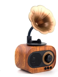 Eenfnety™ PREPAID Artis BT12 Classic Retro Wireless BT Speaker with FM/USB/PREPAID Only  AUX in & Hands Free Calling (5W RMS Output) PCENF5280