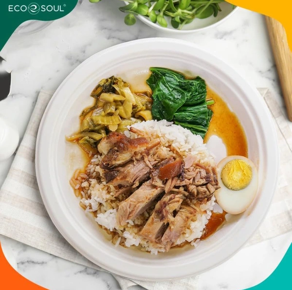 ECO SOUL [10 inch, 50 Pack Disposable Bagasse Plates | Eco-Friendly, Biodegradable, Sugarcane Paper Plates | for Serving Snacks | Birthday, Wedding & Party | Round, White (25 cm)
