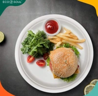 ECO SOUL [10 inch, 50 Pack Disposable Bagasse Plates | Eco-Friendly, Biodegradable, Sugarcane Paper Plates | for Serving Snacks | Birthday, Wedding & Party | Round, White (25 cm)