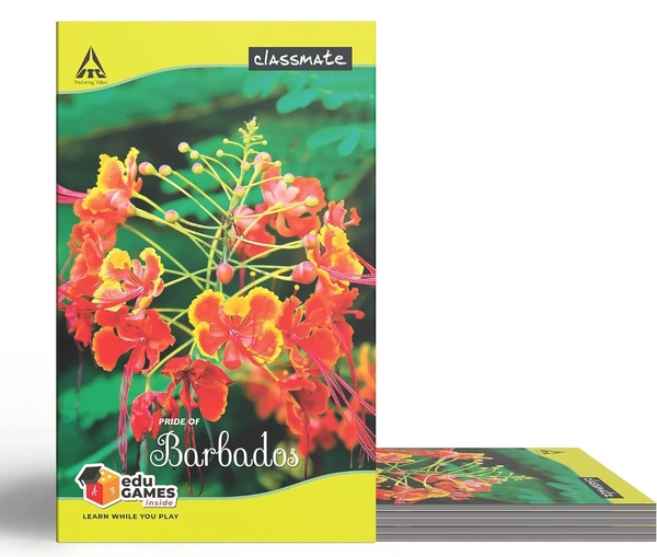 Classmate Long Book - Unruled, 160 Pages, 314 mm x 194 mm - Pack Of 3