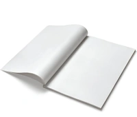 Classmate Long Book - Unruled, 160 Pages, 314 mm x 194 mm - Pack Of 3