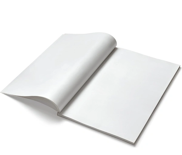 Classmate Long Book - Unruled, 160 Pages, 314 mm x 194 mm - Pack Of 3