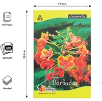 Classmate Long Book - Unruled, 160 Pages, 314 mm x 194 mm - Pack Of 3