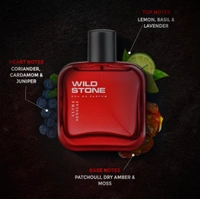 Wild Stone Ultra Sensual Long Lasting Perfume for Men, 100ml, A Sensory Treat for Casual Encounters, Aromatic Blend of Masculine Fragrances