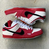 NIKE SB DUNK SKATEBOARD LOW ROLLER DERBY