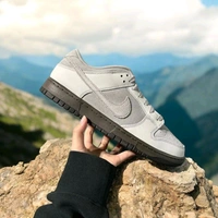 NIKE SB DUNK IRONSTONE
