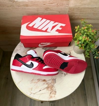 NIKE SB DUNK PRO J PACK CHICAGO