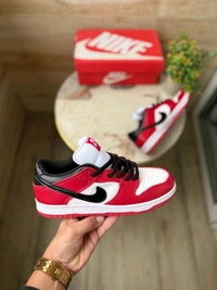 NIKE SB DUNK PRO J PACK CHICAGO