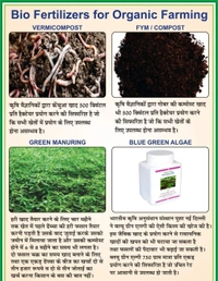 BLUE GREEN ALGAE