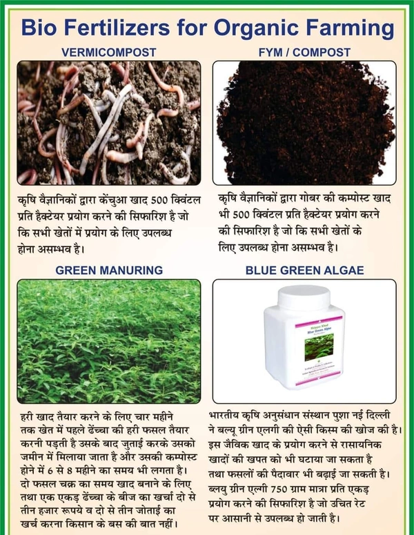 BLUE GREEN ALGAE